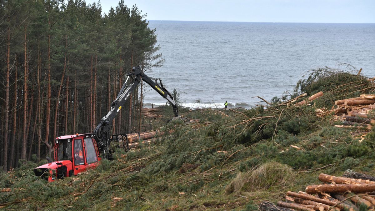 Komisja Europejska ma odmienne zdanie od resortu gospodarki morskiej. "Brak decyzji" ws. Mierzei Wiślanej