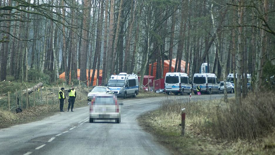 Drwali wycinających drzewa na Mierzei Wiślanej pilnuje policja
