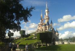 Disneyland szuka pracowników. Jednym z głównych wymagań jest wzrost