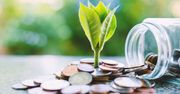 Świat finansów wspiera sustainable finance i circular economy. Polska też