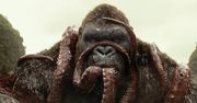 "Kong: Wyspa Czaszki": powrót króla [RECENZJA BLU-RAY]