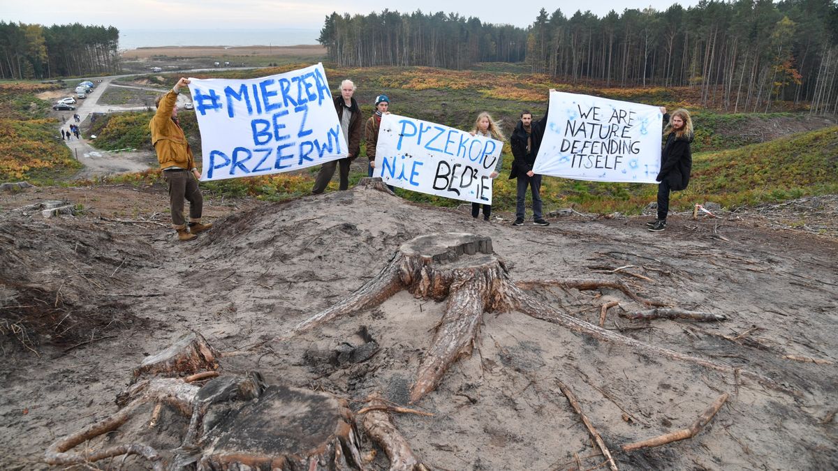 Podczas przekazania placu budowy pod przekop Mierzei Wiślanej protestowali lokalni mieszkańcy i aktywiści