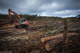 "Money. To się liczy". Wycinka Mierzei Wiślanej. Gościem minister gospodarki morskiej