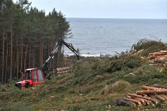 Przekop Mierzei Wiślanej. Kuriozalna oferta Turków