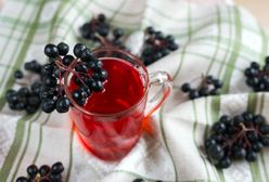 Aronia – zastosowanie w kuchni, właściwości zdrowotne, przepisy