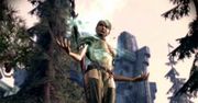 Velanna - nowa postać z Dragon Age: Przebudzenie