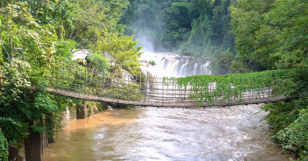 Laos kusi piękną, dziewiczą dżunglą