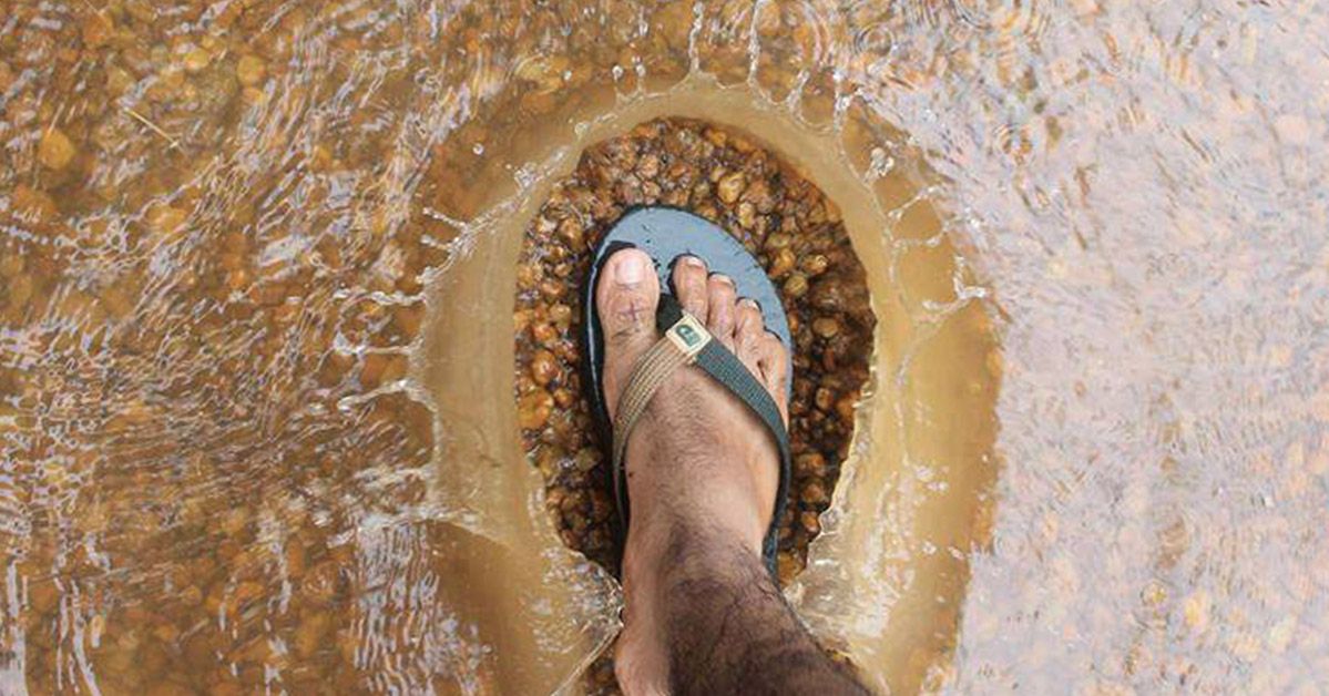 16 perfectly timed photos that will make you look twice