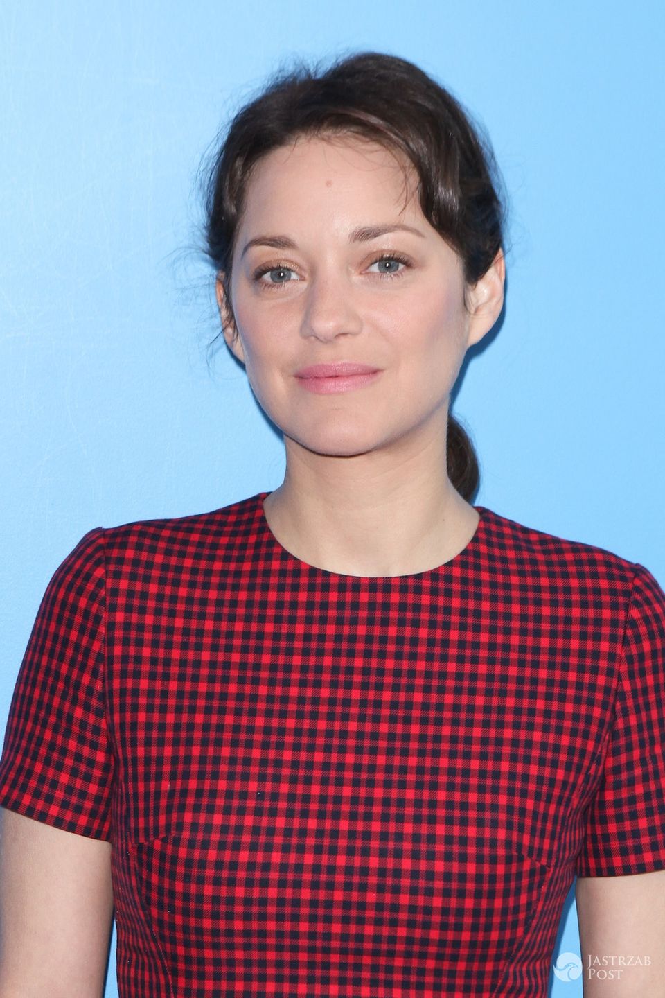 Marion Cottilard i Brad Pitt mają romans