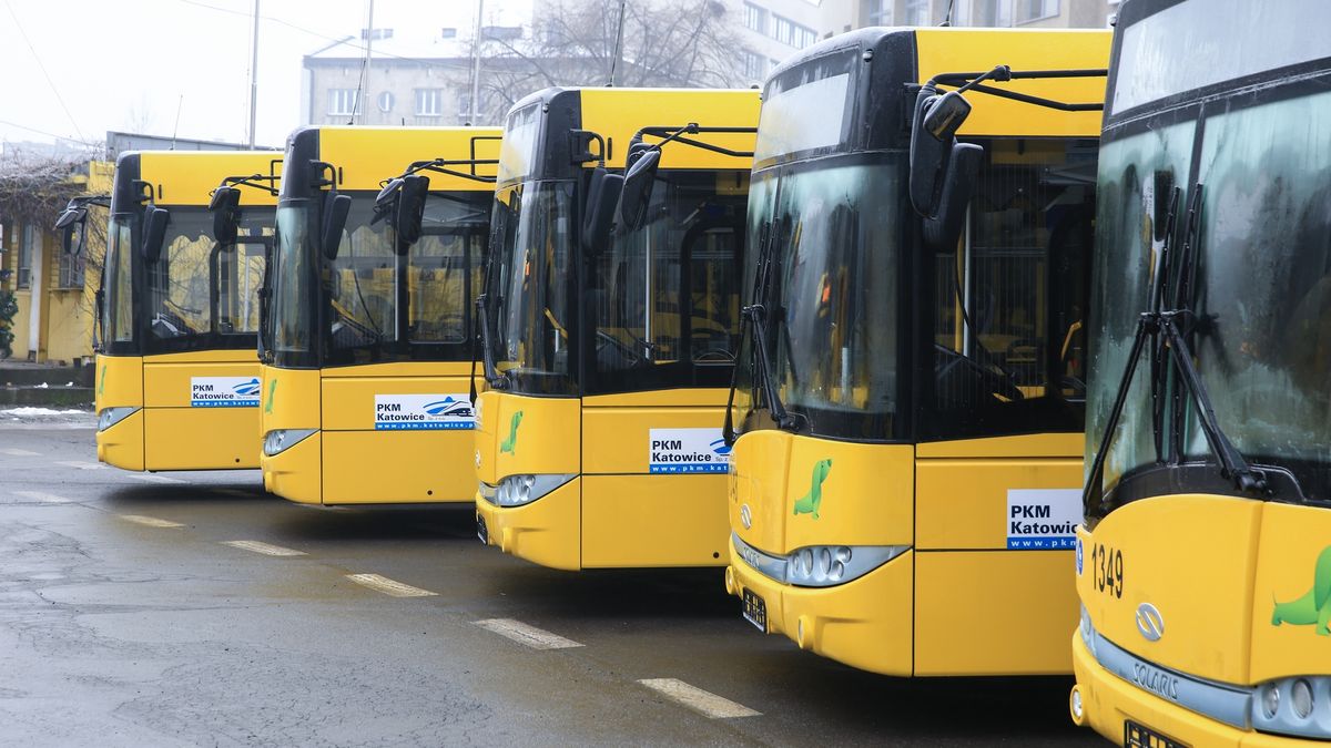 Po Norwegii dzięki tej umowie będzie łącznie jeździło 500 pojazdów Solarisa.