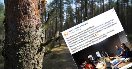 Poszukiwanie pracy. Survival zamiast "pośredniaka"