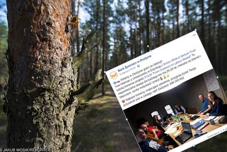 Poszukiwanie pracy. Survival zamiast "pośredniaka"