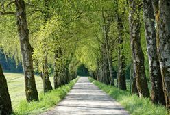 Dzisiaj rano temperatura spadła poniżej zera, a rok temu w całym kraju było ponad 20 stopni