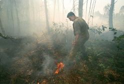 Pożary lasów w Rosji