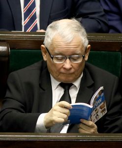 Już ponad 25 tys. złotych za atlas kotów prezesa PiS! A to nie koniec