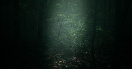 Ten las zabrał życie trzech pokoleń. Mówi się, że za kapliczką gasną silniki