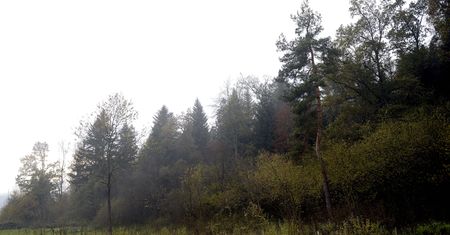 Posadził rabarbar. Przez zasiedzenie dostał za darmo 3,5 hektara