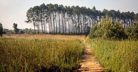 Luwawa Forest - skarb Malawi
