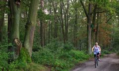 Warszawa. Radny chce zamknięcia Lasu Kabackiego. Ratusz i Lasy Miejskie odpowiadają