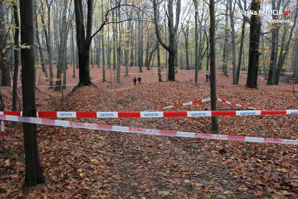 Znaleziono zwłoki niedaleko miejsca piknikowego w Katowicach. Na ciele są rany
