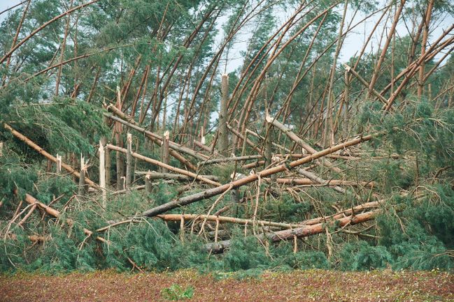 Tragedia na obozie w Suszku. Ta sama burza siała spustoszenie na całym Pomorzu