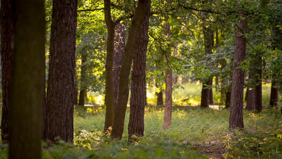 Pogoda na weekend - ciepło i słonecznie w całym kraju dopiero w niedzielę. Wcześniej możliwe deszcze i burze.