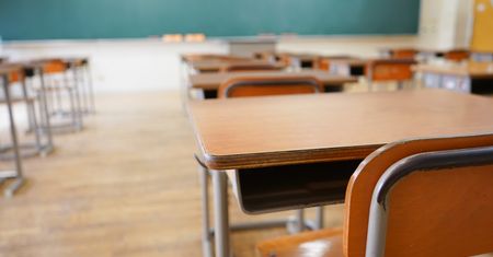 List od Czytelniczki: "Twoje dzieci uczą poloniści, którzy na studiach nie przeczytali ani jednej książki"