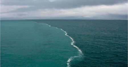 Ocean Spokojny. Tutaj spływają wody z lodowców. Prawdziwy przyrodniczy fenomen