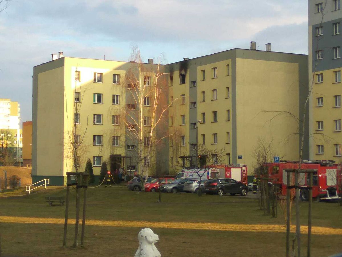 Tragedia w Rudzie Śląskiej. Mężczyzna spalił mieszkanie i się powiesił