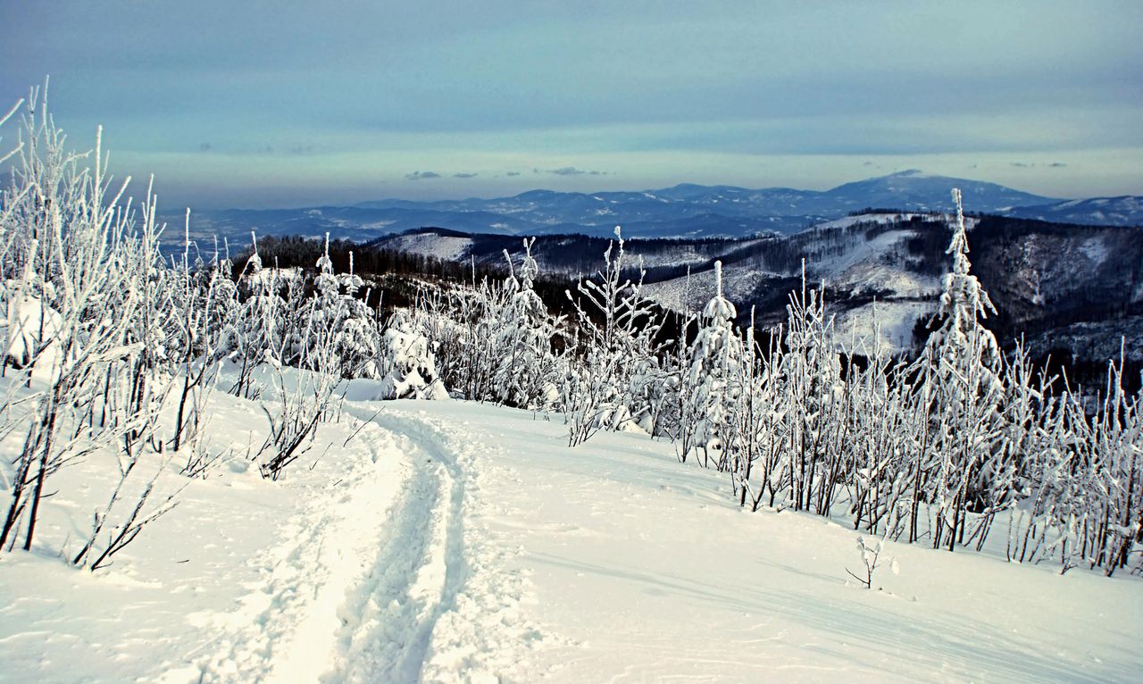 Beskid Śląski. Tragiczny finał akcji poszukiwawczej, nie żyje 19-letni turysta