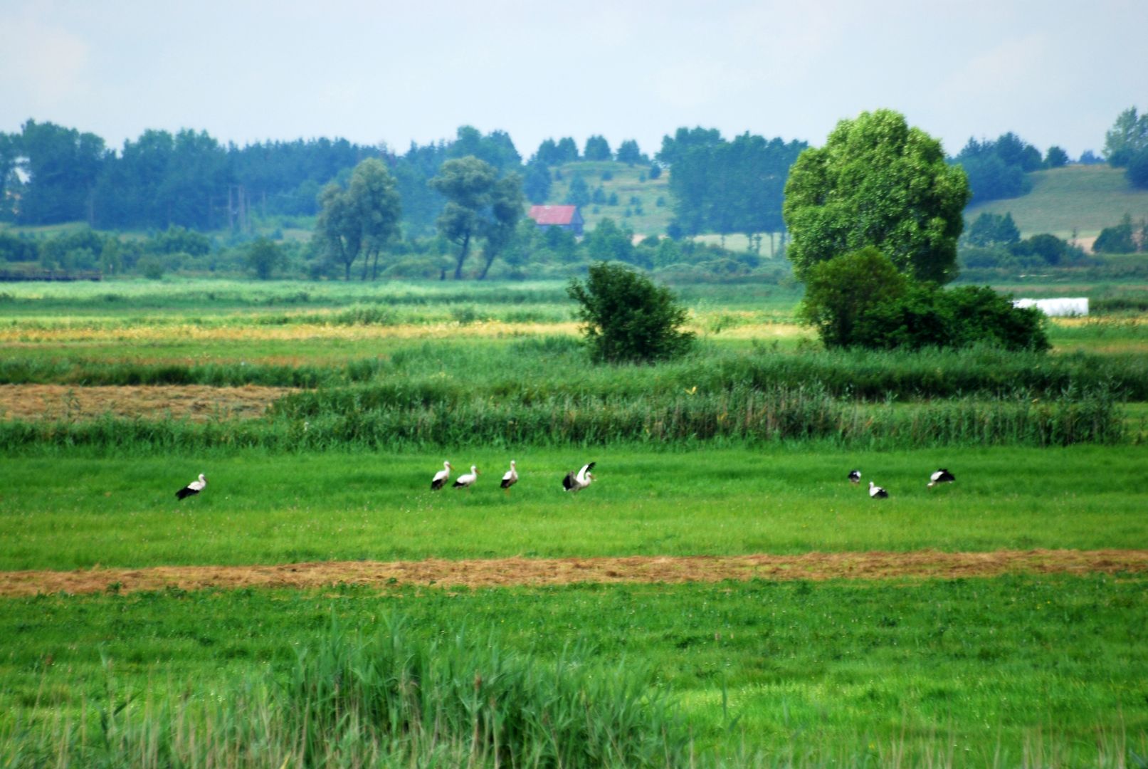 Wraca moda na działki wśród młodych