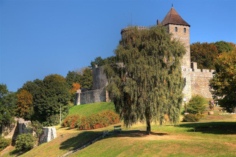 Obraz
