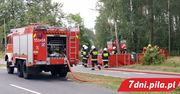 Znów pożar lasu pod Piłą