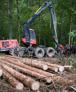 Leśnicy drżą o pensje. Nowy pomysł Brukseli zrujnuje Lasy Państwowe