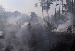 Gorzów Wielkopolski. Pożar lasów koło Marwic i Santocka. W akcji pięć samolotów gaśniczych