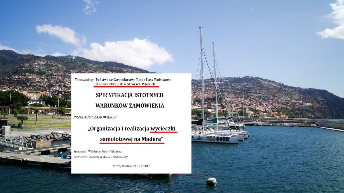 Wakacje dla leśników. Nadleśnictwo z Ełku ogłosiło przetarg