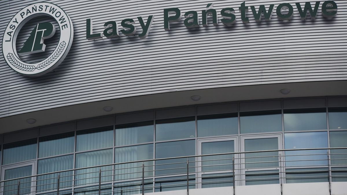 Agencja Radomskiego pracuje dla Regionalnych Lasów Państwowych w Białymstoku