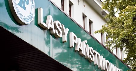 38 tys. zł na głowę. Władze Lasów Państwowych same sobie wypłaciły nagrody