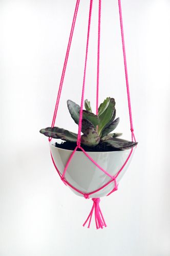 Hanging Plant Holder