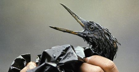 "Sądzę, że mamy poważne kłopoty". 30 lat od katastrofy "Exxon Valdez"