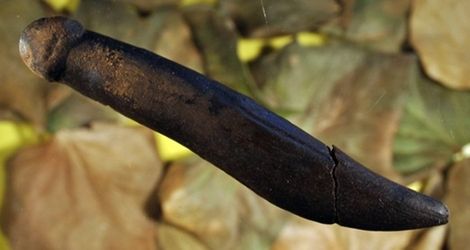 Prehistoryczne dildo
