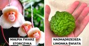 17 razy Matka Natura stworzyła coś niezwykłego i jedynego w swoim rodzaju