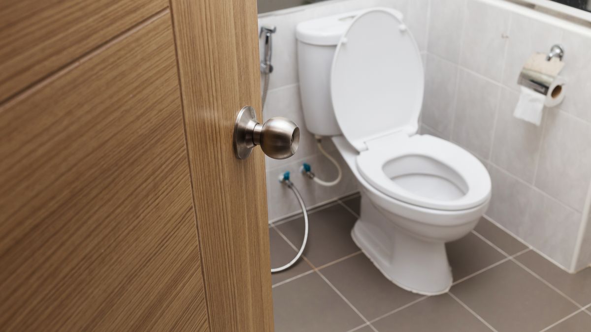 white flush toilet in modern bathroom interior, focus knob door.