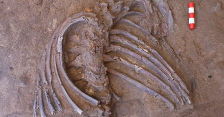 Znaleźli szczątki neandertalczyka. Wskazują na znane nam obrzędy