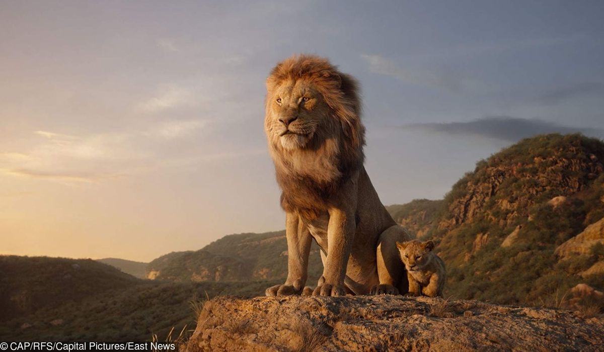 "Król lew": Pierwsze reakcje po prapremierze filmu