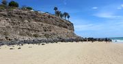 Fuerteventura - wyspa idealna na wiosenny urlop