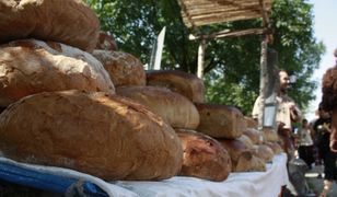 Chleb nasz powszedni. Gdzie w UE najtańszy, gdzie najdroższy?