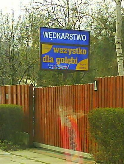 Obraz