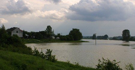 Do Mielca dociera fala kulminacyjna na Wisłoce
