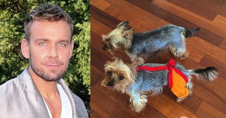 Dawid Woliński założył swoim psom konto na Instagramie! Zobacz, o czym "piszą" i jakie zdjęcia "wrzucają" do sieci yorki jurora "Top Model"